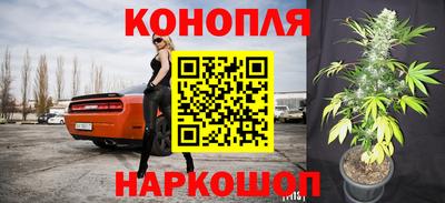 стаф Краснознаменск
