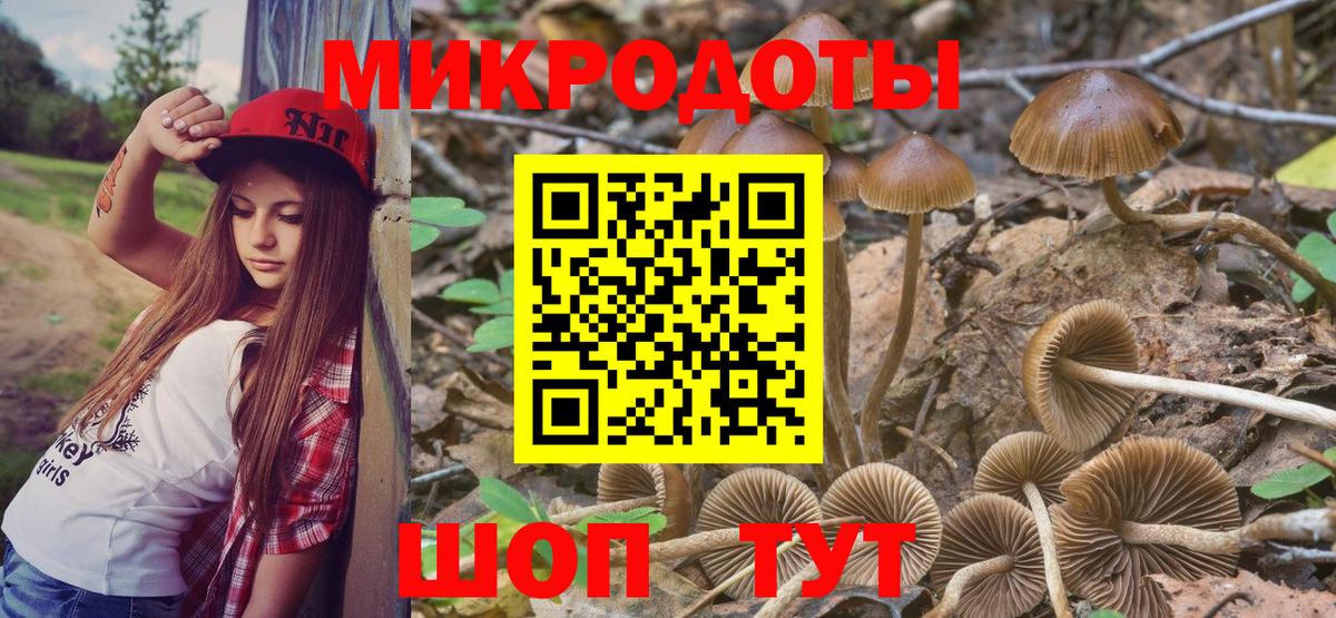 Псилоцибиновые грибы MAGIC MUSHROOMS Конаково