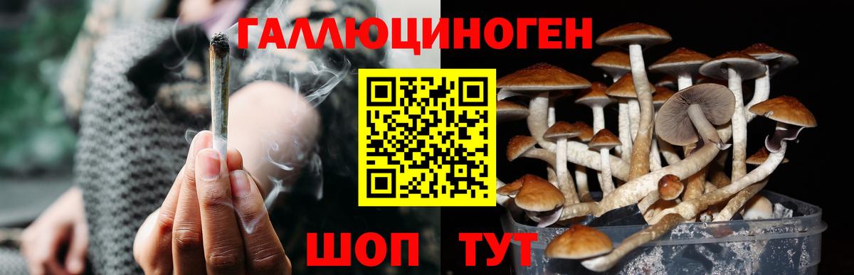 Псилоцибиновые грибы Magic Shrooms  Галлюциногенные грибы Psilocybine cubensis  Вход с VPN  Конаково 